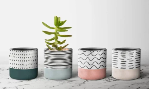 vasos para plantas