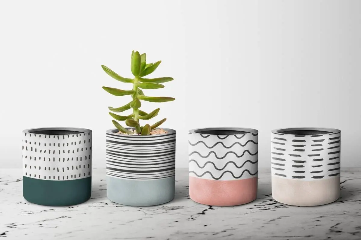 vasos para plantas