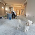 Descubra Quando Investir na Atualização da Sua Casa