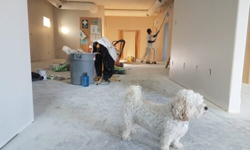 Descubra Quando Investir na Atualização da Sua Casa
