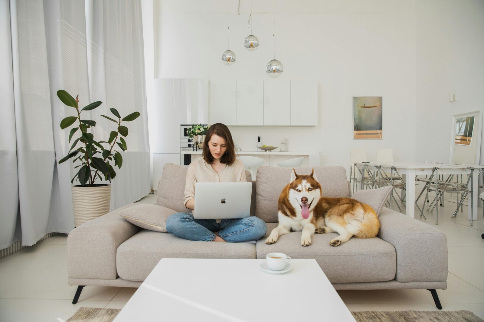arquitetura pet friendly