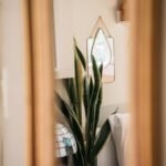 Para a ascensão da neuroarquitetura em projetos residenciais, trata-se de uma abordagem que integra neurociência e design par