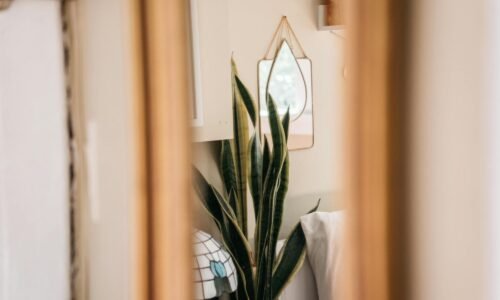 Para a ascensão da neuroarquitetura em projetos residenciais, trata-se de uma abordagem que integra neurociência e design par