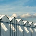 Para agricultura urbana integrada a edifícios, trata-se de um conceito inovador que envolve o cultivo de alimentos em estrutu