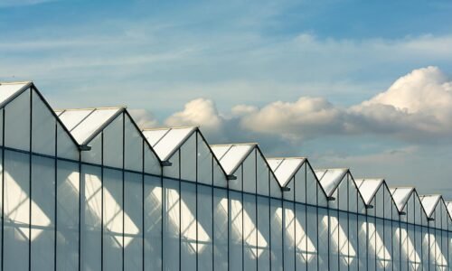 Para agricultura urbana integrada a edifícios, trata-se de um conceito inovador que envolve o cultivo de alimentos em estrutu