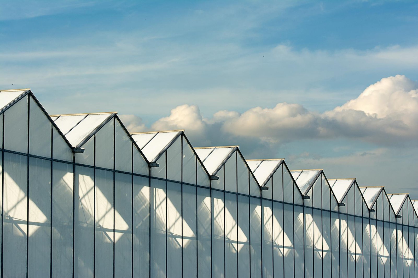 Para agricultura urbana integrada a edifícios, trata-se de um conceito inovador que envolve o cultivo de alimentos em estrutu