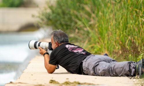 Para casas que promovem bem-estar holístico, o foco está em integrar design, funcionalidade e elementos naturais para criar u
