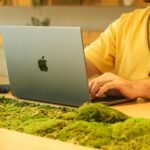 Para o design biofílico e integração natureza-edifício, trata-se de uma abordagem que busca reconectar as pessoas com o mundo