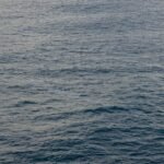 Para espaços que priorizam circulação fluida, o foco está em um design que facilita o movimento contínuo e desimpedido de pes