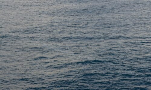 Para espaços que priorizam circulação fluida, o foco está em um design que facilita o movimento contínuo e desimpedido de pes