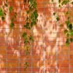 Para que a iluminação natural seja a protagonista de um projeto, é essencial integrar estratégias de design desde o início, c