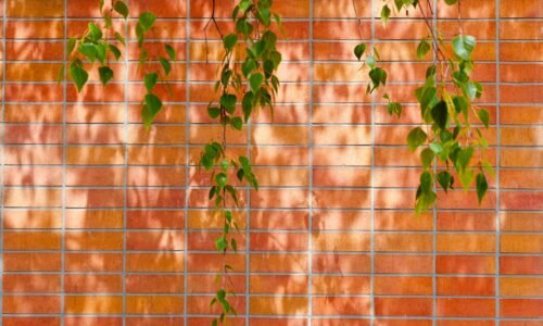 Para que a iluminação natural seja a protagonista de um projeto, é essencial integrar estratégias de design desde o início, c