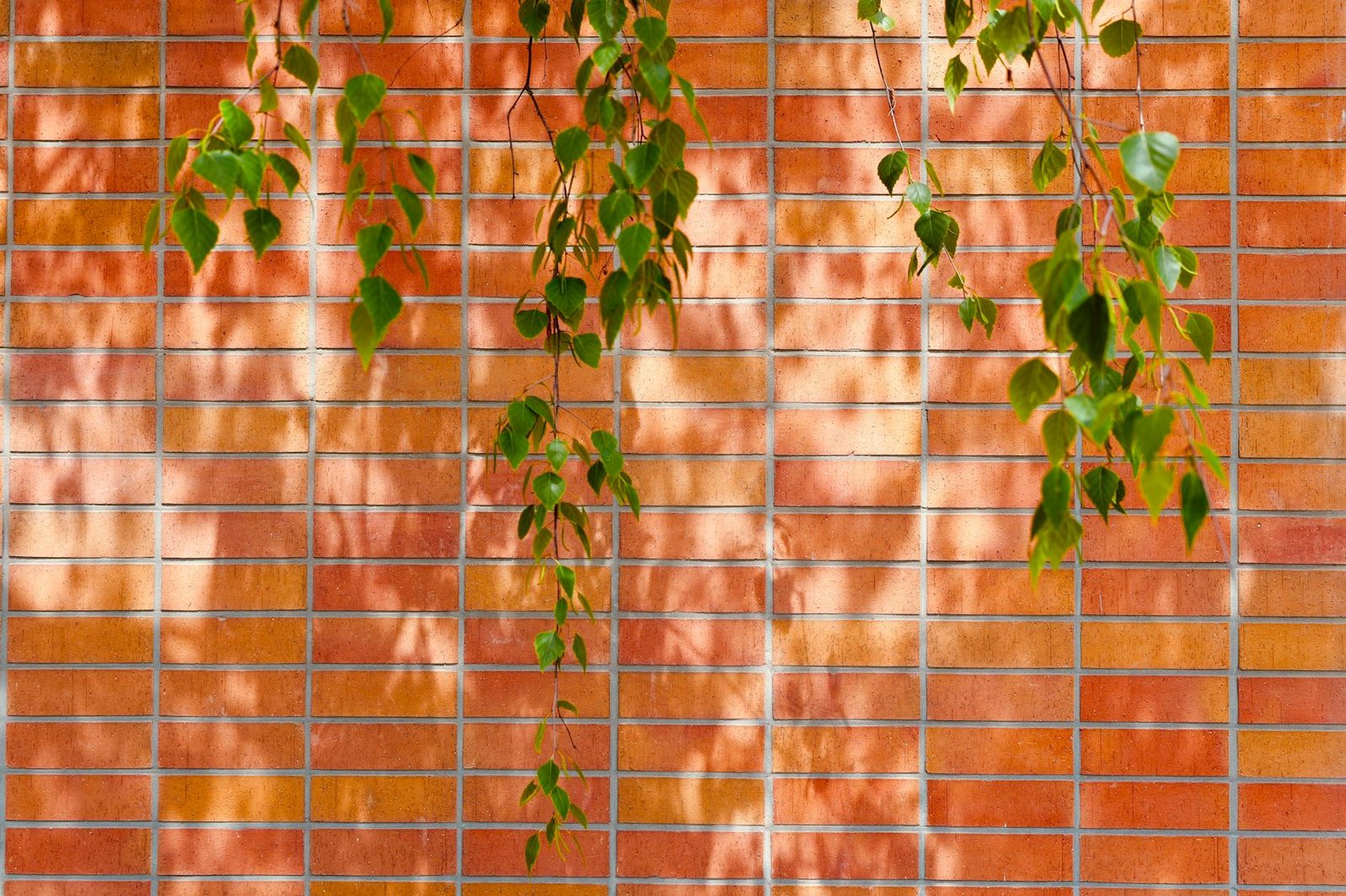 Para que a iluminação natural seja a protagonista de um projeto, é essencial integrar estratégias de design desde o início, c