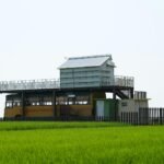 Para o papel do adaptive reuse na sustentabilidade urbana, esta prática é fundamental para revitalizar espaços existentes, re