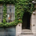 Para projetos que combinam natureza e arquitetura, o foco está em integrar elementos naturais ao design, como jardins vertica