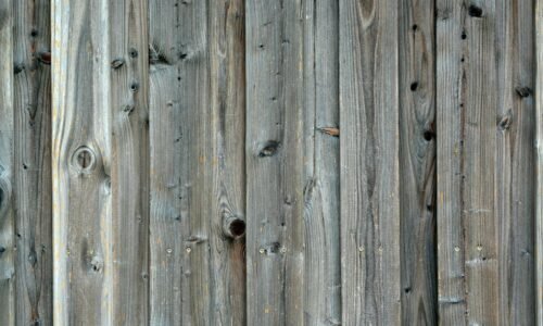 Para soluções construtivas com microalga e mycelium, trata-se da aplicação de biomateriais inovadores na arquitetura e engenh
