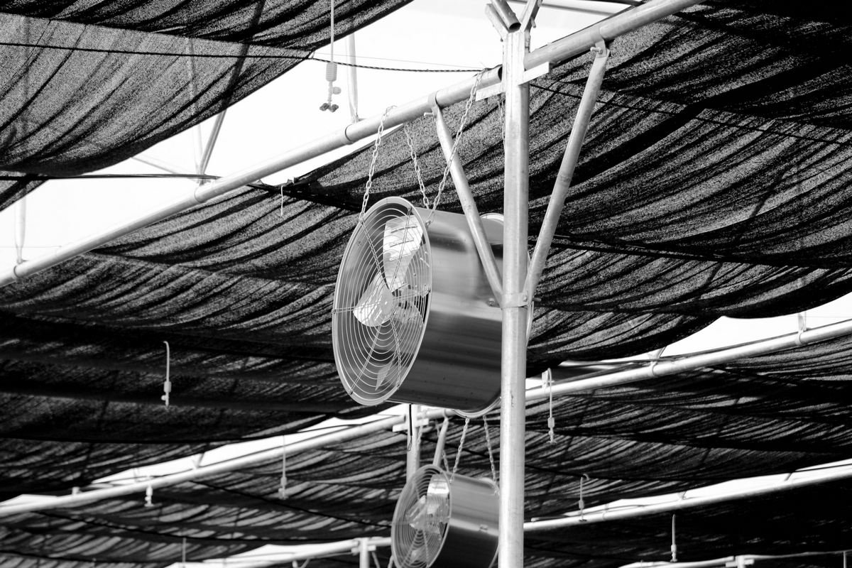 Locação de Ventilador Industrial para Espaço Confinado